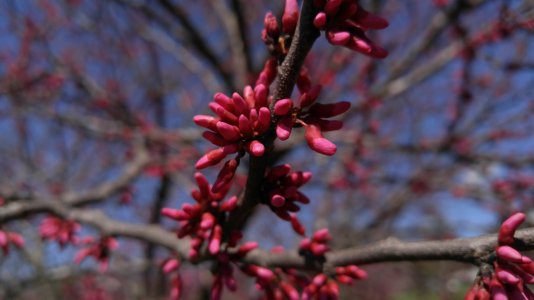 20160402_140158.jpg