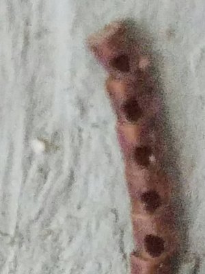 1466378014519.jpg