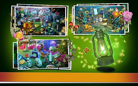 mystery garden.jpg