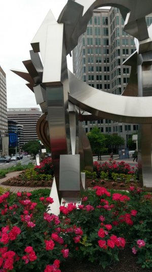 IMAG0042.jpg
