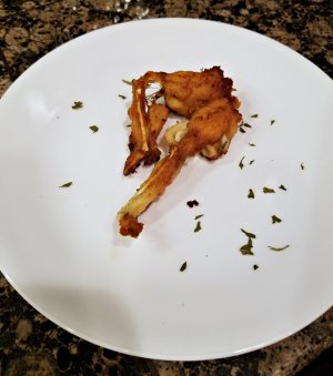 Frog-5.jpg