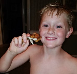 Frog-6.jpg