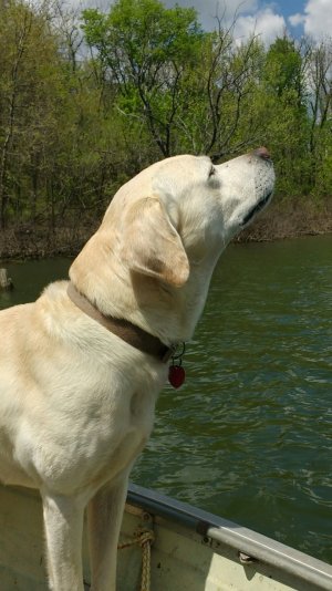 IMG_20160424_173005[1].jpg