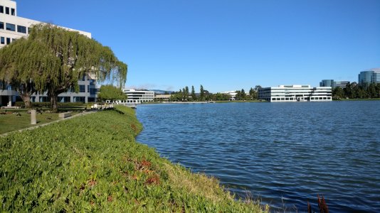 IMG_20160624_084431.jpg