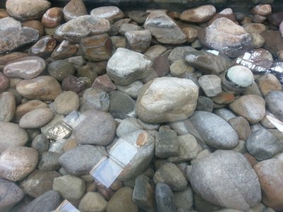 Water Inside 2.jpg
