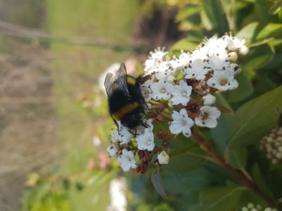 20160325_130205.jpg