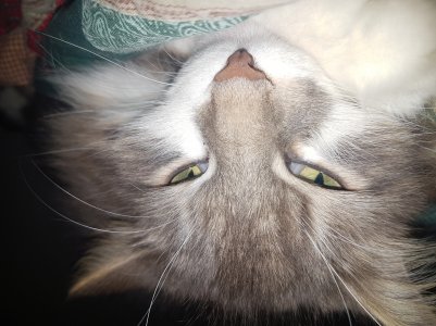 20160502_174253.jpg