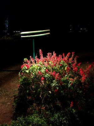 IMG_20160117_191140.jpg