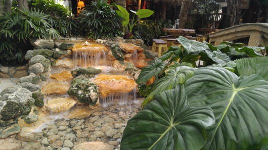 20160626_184835.jpg