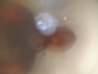 20160628_124211.jpg