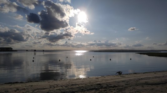 OceanCity1.jpg