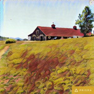barn filtered prisma pic.jpg