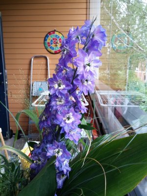 20160703_102501.jpg