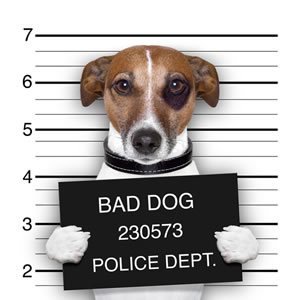 ContentImage_2D00_MugShot.jpg