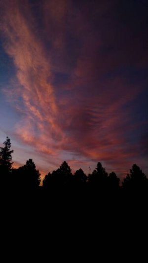 20160611_203425-01.jpg
