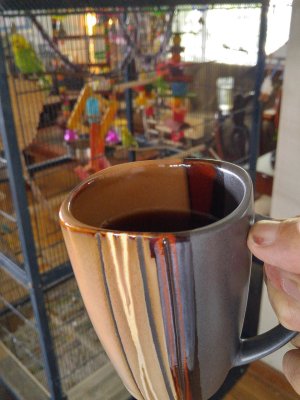20160730_095929_HDR.jpg