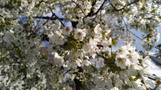 20160505_173001.jpg