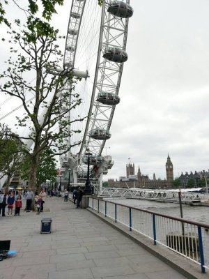 IMAG0252_1.jpg