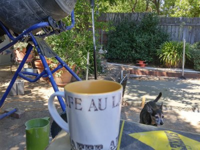 20160801_112436_HDR.jpg