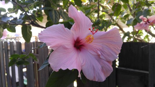 20160704_165809_HDR.jpg