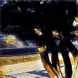 A tree.jpg