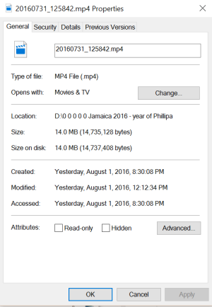 properties of a non-working MP4 2.PNG properties of a non-working MP4 2.PNG