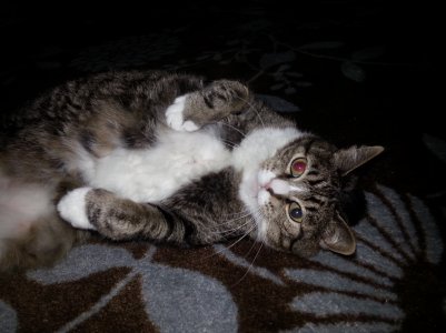 20160803_183507.jpg