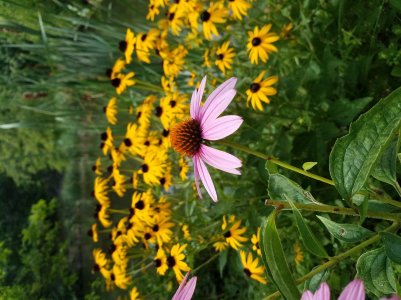 20160803_141905.jpg