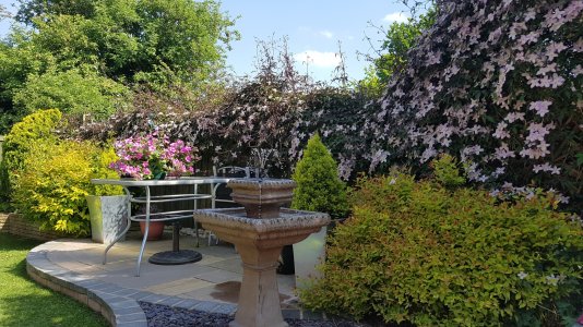 20160603_162325.jpg
