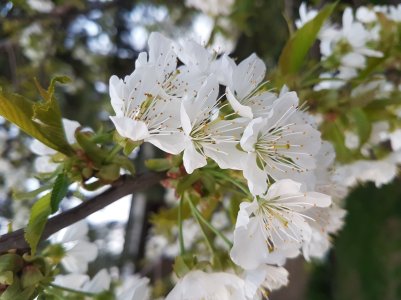 20160511_193539.jpg