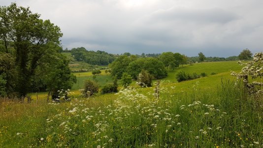 2016-05-28 19.38.58.jpg
