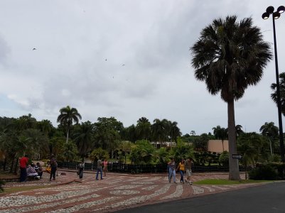 20160605_180153.jpg