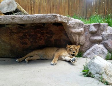 20160606_151212.jpg