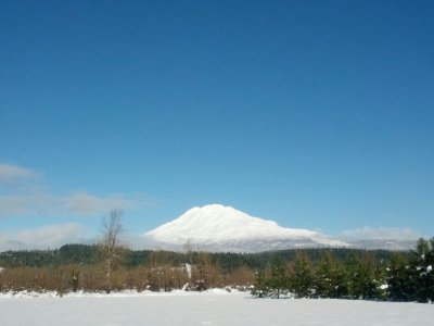 IMG_20121227_132825.jpg