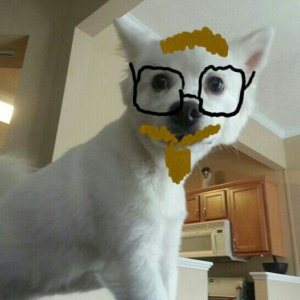 uploadfromtaptalk1358602832904.jpg