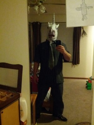 Unicorn.jpg