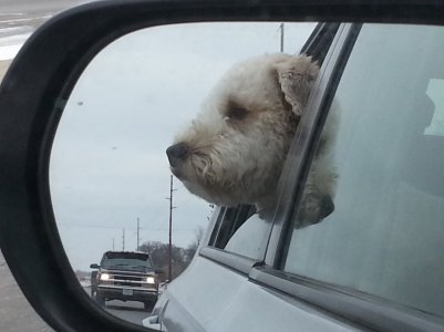 20121125_123402.jpg