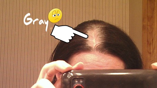 IMAG0993-picsay.jpg