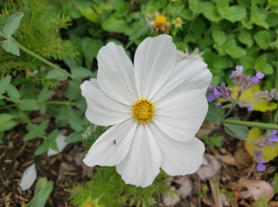 20160605_120924.jpg