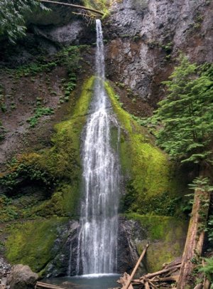 Image1468168820.634050.jpg