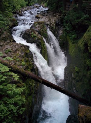 Image1468169096.316385.jpg
