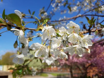 20160504_164341.jpg