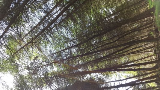 20160530_150357.jpg