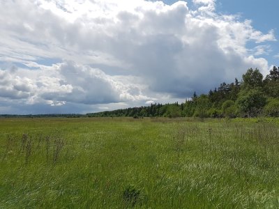 20160605_111157.jpg