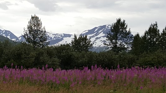 2016-07-24 10.15.42.jpg