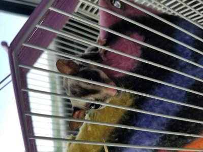 20160609_103432.jpg