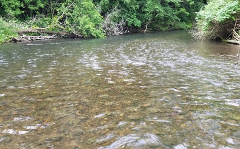 river.jpg