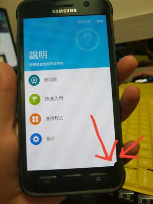 WhatsApp-Image-20160713 (1).jpg