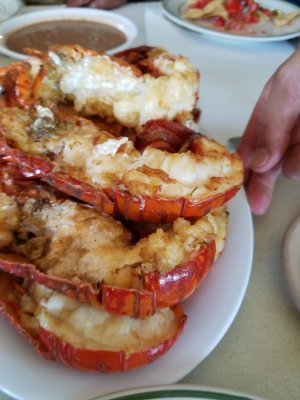 20160816_160718.jpg