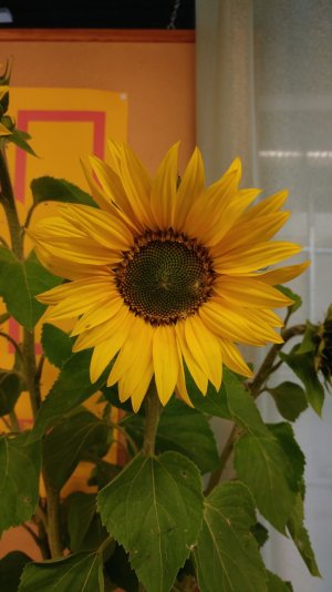 20160824_084624.jpg